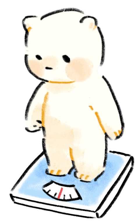 体重を測るしろくま