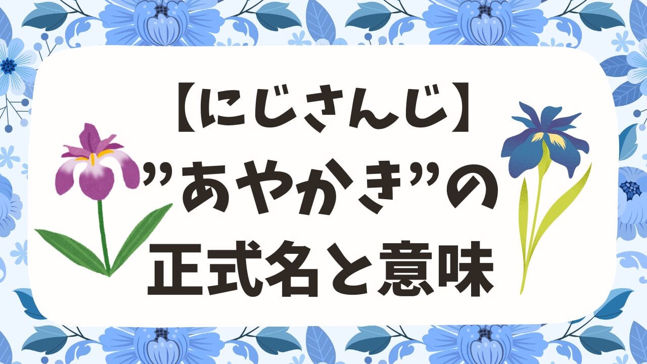 あやかきってなんの略？意味も解説【にじさんじのグループ名】