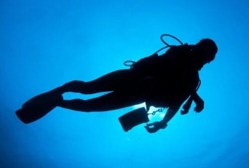 ダイビング_ばくたそ