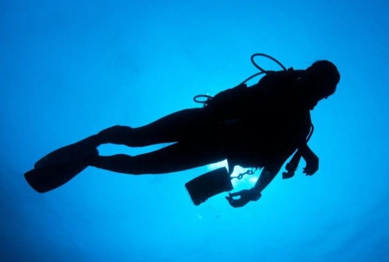 ダイビング_ばくたそ